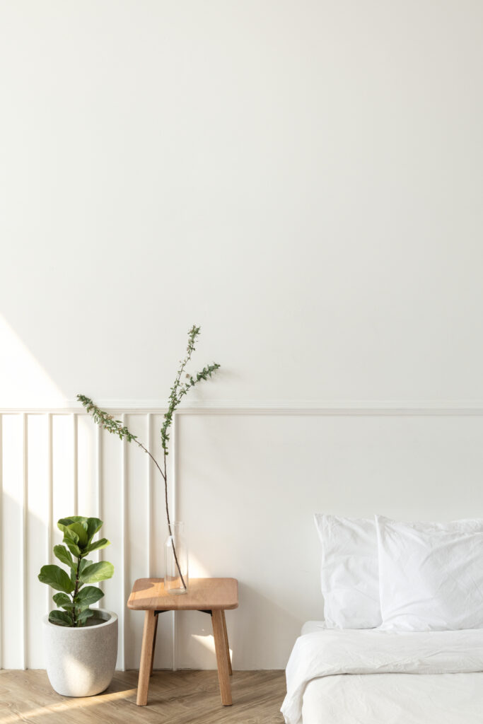 Signs Your Mattress Is Causing Your Back Pains - House plants by a mattress on the floor